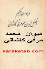 کتاب-دیوان-محمد-مرقی-کاشانی