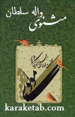 کتاب مثنوی واله سلطان نوشته شمس الدین فقیر دهلوی