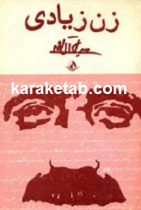 کتاب زن زیادی