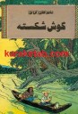 گوش شکسته