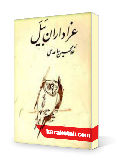 معرفی کتاب عزاداران بیل