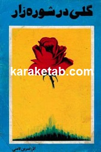 گلی در شوره زار