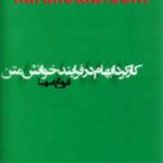 کارکرد ابهام در فرایند خوانش متن