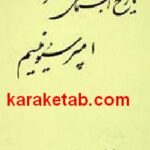 تاریخ اجتماعی هنر امپرسیونیسم