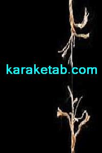 کتاب اردیبهشت و انسان بیگانه ازخود