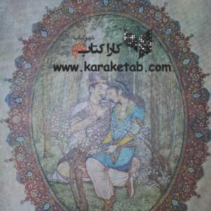 امیر ارسلان رومی