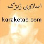 کتاب اسلاوی ژیژک