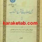ترک الاطناب یا شرح الشهاب