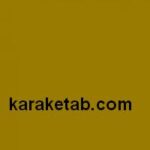 السیاسة المدنیه