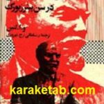 مبارزات انتخاباتی در سن پیترزبورگ