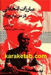 مبارزات انتخاباتی در سن پیترزبورگ