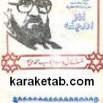 پیر اندیشه