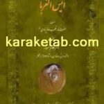 کتاب انیس الغربا‬