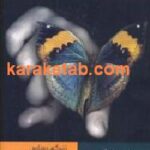 دریچه ای به روی زندگی دوباره