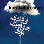 ای کاش که جای آرمیدن بودی