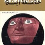 جامعه اینکا