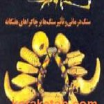 سنگ با تو حرف می زند