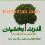 قدرت بخشیدن