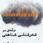 درآمدی بر شعرشناسی شناختی