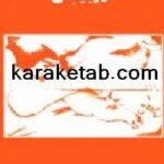 کتاب بررسی ادبیات شفاهی آذربایجان