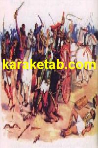 CREATOR: gd-jpeg v1.0 (using IJG JPEG v62), quality = 100