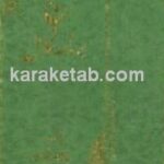 حج برنامه تکامل