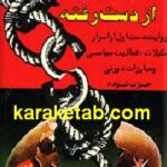 فرصت بزرگ از دست رفته