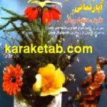 گلهای بلندر