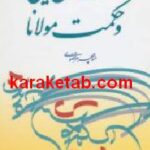 جهان بینی و حکمت مولانا