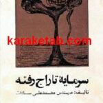 سرمایه تاراج رفته