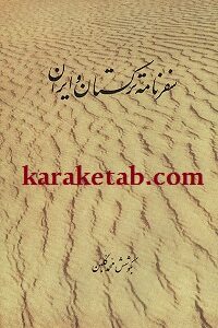 سفرنامه ترکستان و ایران