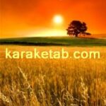 کتاب تغییر در روان