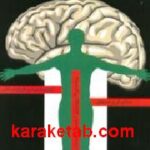 نسخه تقویت حافظه