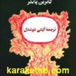 قانون توانگری