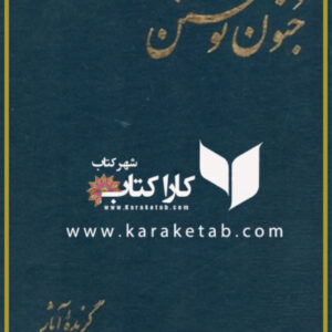 جنون نوشتن