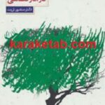 گنجینه حکمت در آثار نظامی