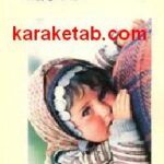 سیاست حکومت و عشایر