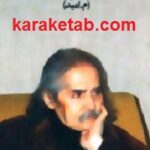 صدای حیرت بیدار