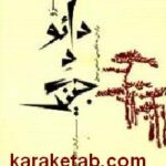 دائو د جینگ
