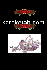 کتاب در جستجوی راز آفرینش