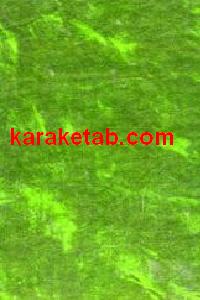 CREATOR: gd-jpeg v1.0 (using IJG JPEG v62), default quality