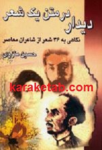 دیدار در متن یک شعر