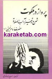 پرواز در ملکوت