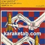 بحثی درباره خلع سلاح