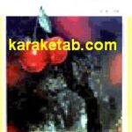 زیر درخت آلبالو