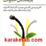 روان درمانی بازماندگان خشونت