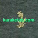 تظاهرات دهانی
