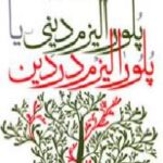 پلورالیزم دینی یا پلورالیزم در دین