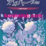 اصول دیپلماسی در اسلام