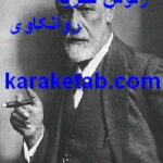 کتاب رئوس نظریه روانکاوی